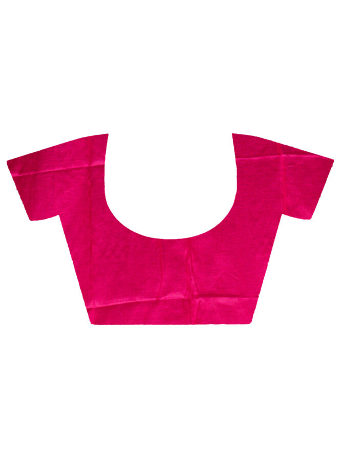 Light-Dark Pinky Simple Bordered Embroidered Linen Saree