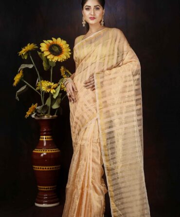 Gold Stripped Zari Silk Saree