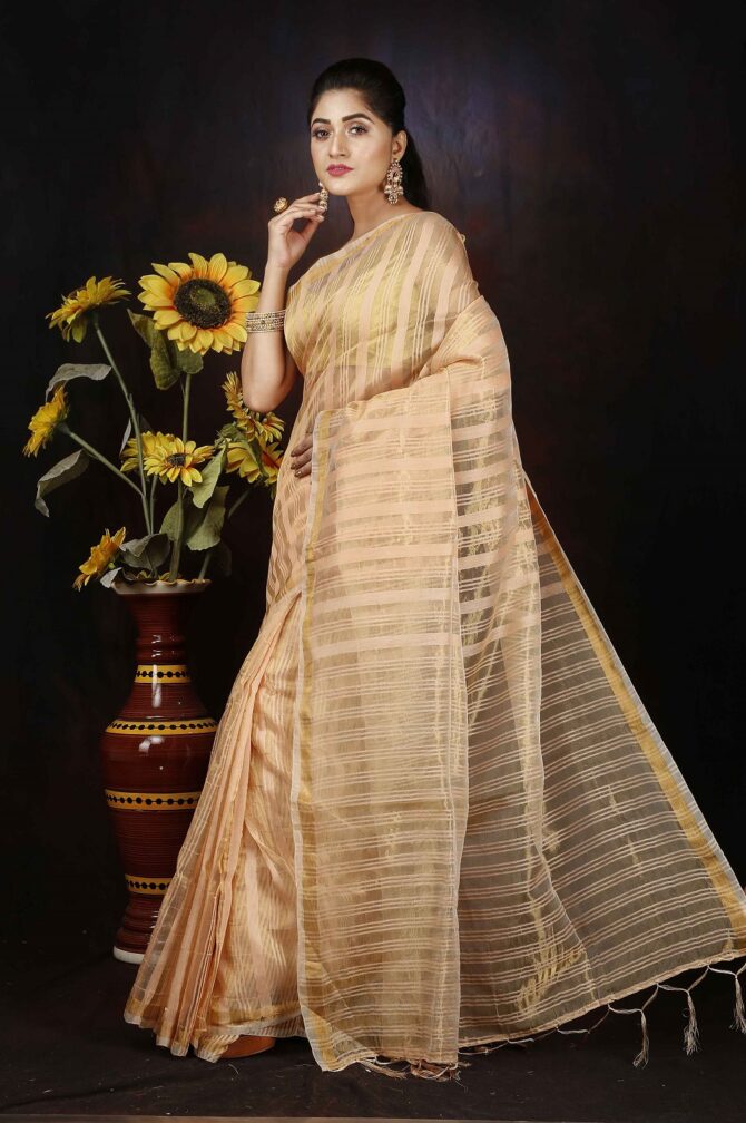Gold Stripped Zari Silk Saree