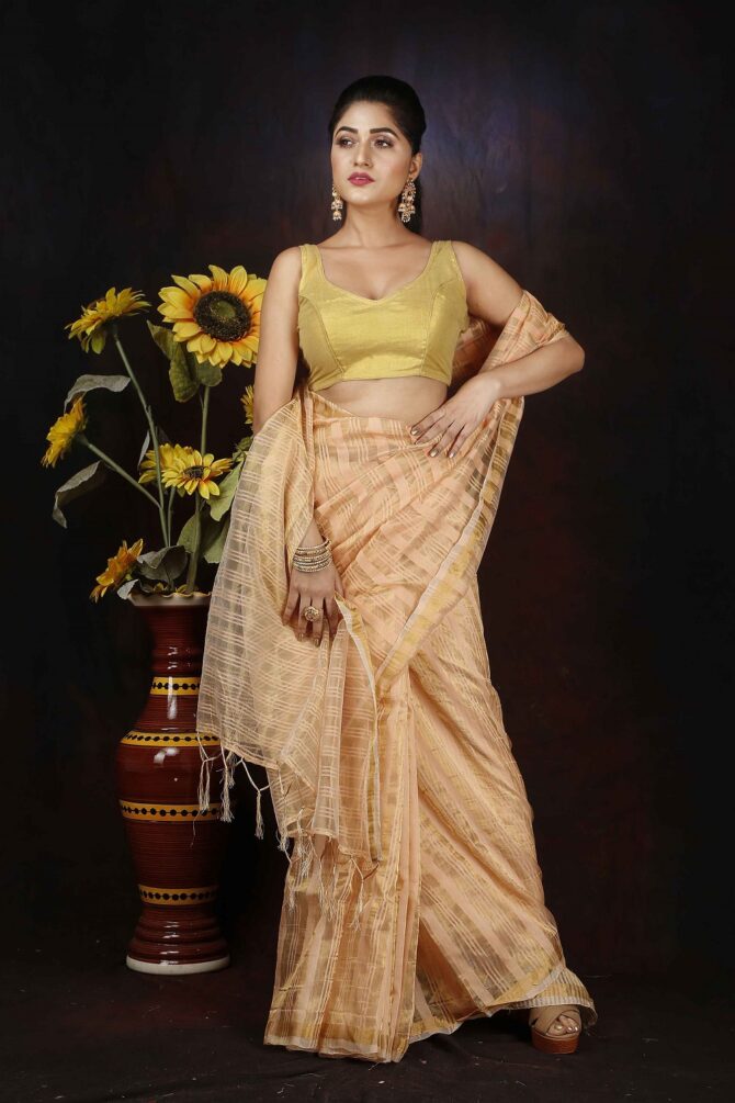 Gold Stripped Zari Silk Saree