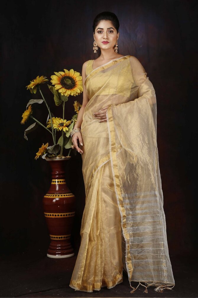 Gold Zari Stripped Pallu Saree