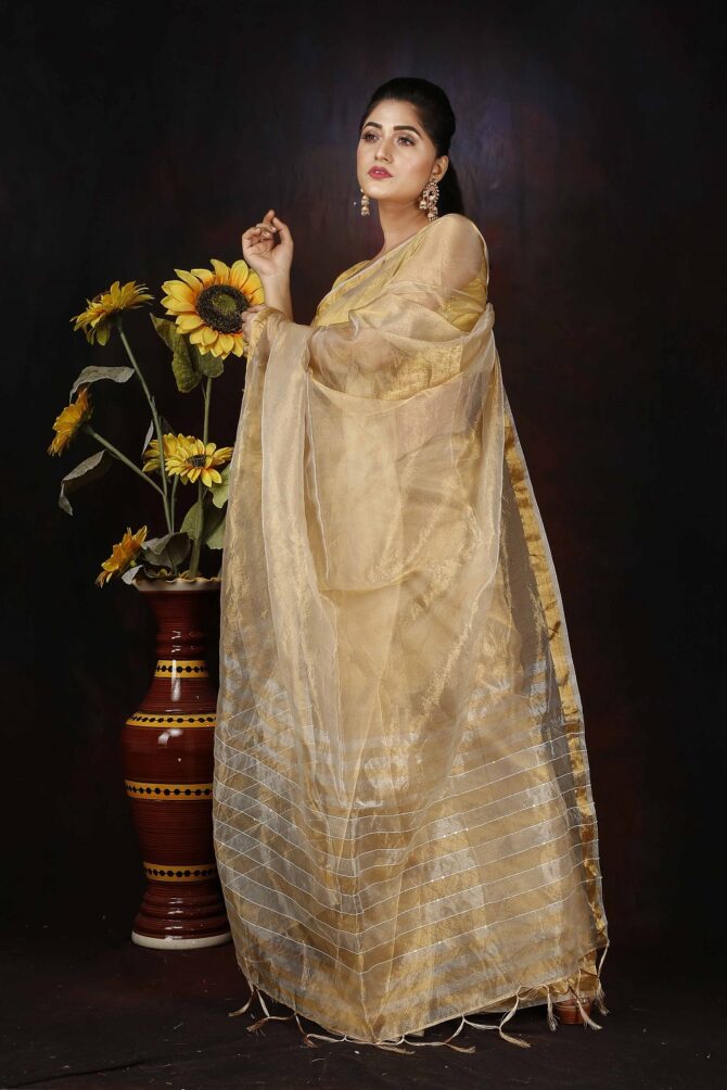 Gold Zari Stripped Pallu Saree