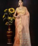 Zari Silk Pink and Gold Saree